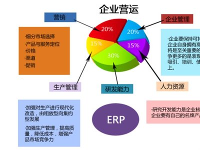 新蓝图ERP软件-生产管理系统 定制ERP管理方案